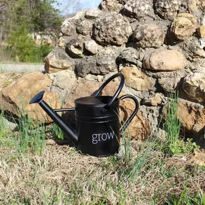 Decorative Brass Watering Can Premium Modern <b>Garden</b> AccessoryModern <b>Garden</b> Tool Metal Watering Can Luxury Finish Elegant - Product Image 5