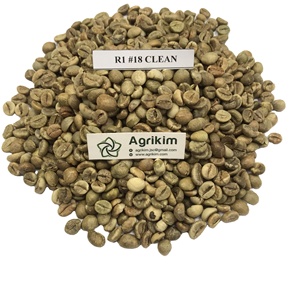 เมล็ดกาแฟโรบัสต้าคุณภาพสูง แปรรูปโดยตรงจากโรงงาน ราคาขายส่ง ผู้ผลิตเวียดนาม +84 35 254 2206 - Product Image 6