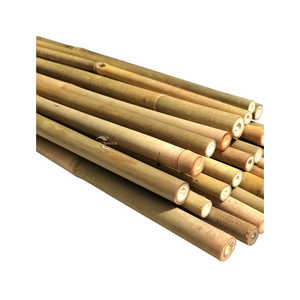 Poste de Bambú Natural Sostenible de Alta Resistencia a la Tracción, Tamaño Personalizado, Larga Vida Útil, Uso en Construcción, Hanoi International - Product Image 2