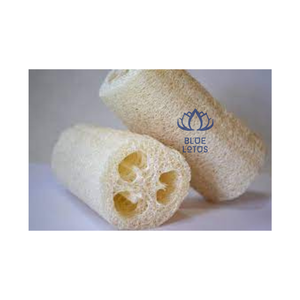 Éponge Loofah Écologique Sûre et Nettoyante, Meilleure Vente 2026, Tampon en Fibres Végétales Pures Idéal pour l'Exfoliation de la Peau et le Nettoyage de Cuisine, Prix Direct - Product Image 1