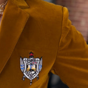 Custom SGRHO <b>Velvet</b> Gold Slim Fit <b>Blazer</b> Sigma Gamma Rho Women's Greek Sorority 3D Embroidery Breathable Single Button Formal - Product Image 5