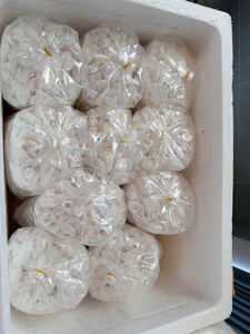 Poudre de racine de Kudzu du Vietnam, poudre d'arrowroot naturelle pour boissons, ingrédient alimentaire et boisson saine - Product Image 2