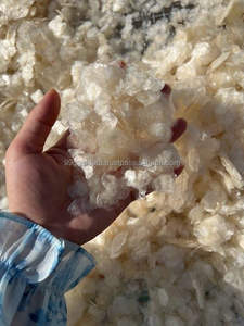 เกล็ดปลาแห้งที่ดีที่สุดจาก99ข้อมูลทองคำ - Product Image 6