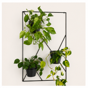 Modern Geometric <b>Wall</b> Mounted Plant Stand Black Metal Indoor for Plants Iron <b>Garden</b> Rack Decorative <b>Wall</b> <b>Planter</b> for Home - Product Image 3