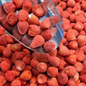 Freeze Dried Preserved Strawberry <b>Diced</b> Bulk Sour Sweet Topping for Ice Cream Cereal Snacks Vietnam - Product Image 1