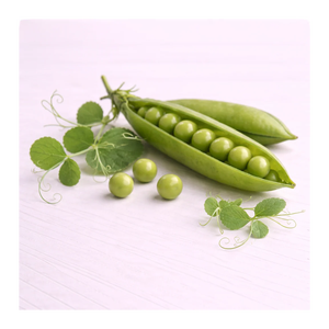 Peptides de protéines de pois à faible coût, qualité supérieure, approvisionnement en vrac, vente en gros, export, stock, additifs - Product Image 3