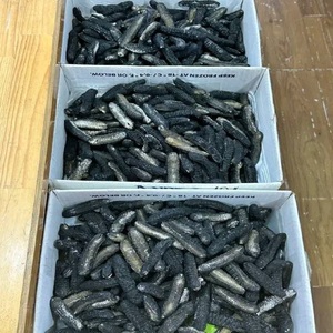 Concombre de mer frais à taches blanches (surgelé) pour l'approvisionnement mondial avec des prix compétitifs, livraison rapide, qualité supérieure et durée de conservation de 2 ans - Product Image 2