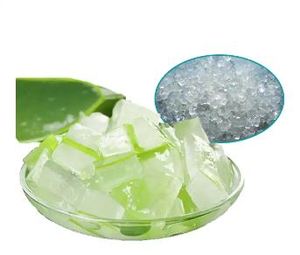 Hoja de aloe vera cortada en cubitos en jarabe ligero-Material de gel de pulpa para bebida - Product Image 5