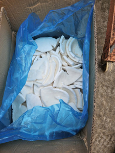 Vietnam IQF Frozen Coconut Meat Natural Raw Ingredient For Food Processing <b>Dessert</b> Smoothie And Cooking Use - Product Image 4