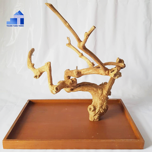 ที่นั่งนกทำจากไม้กาแฟธรรมชาติ THANH TUNG THINH สำหรับนก - Product Image 3