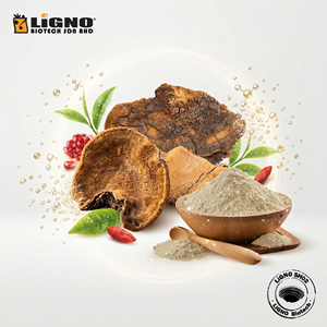 Poudre de Phellinus Linteus séchée à froid certifiée biologique, halal/casher LiGNO SH02, qualité alimentaire, spectre complet, pour un vieillissement sain - Product Image 1