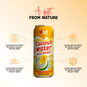 Agua de coco 490ml Agua de coco fresca Sabor a mango Precio al por mayor Etiqueta privada Fabricante de bebidas OEM ODM - Product Image 3