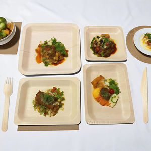 Platos de palma Areca en oferta con acabado liso, vajilla desechable para uso doméstico, hotelero y en restaurantes, disponible al mejor precio. - Product Image 3