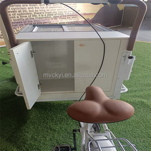 Mvckyi Gelato bicicletta pieghevole Mobile cibo carrello commerciale Gelato bici <span class=keywords><strong>per</strong></span> la vendita Gelato Freezer carrello elettrico - Product Image 5