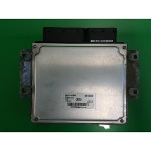ECUs y Módulos de Computación Usados de Carnival 391044X945 - Product Image 4