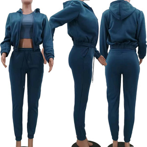 Velour Custom Logo Tracksuit Drop Shoulder Crop Tops Hoodies and Jogging Sweat Suit 2 Pieces Set Women Tracksuits for Women - Product Image 3