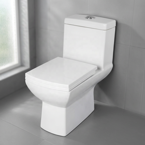 Ensemble WC monobloc en céramique avec siphon, anti-odeur, anti-gel, anti-fissuration, à poser au sol, pour salle de bain, vente en gros - Product Image 5