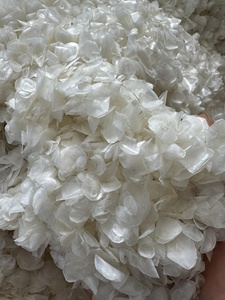 Écailles de poisson, produit tendance 2026, matière première marine naturelle du Vietnam - Product Image 6