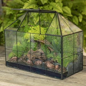 Terrarium en verre style serre avec toit ouvrant pour plantes d'intérieur, succulentes, mousse, décoration intérieure et mise en scène de table - Product Image 4