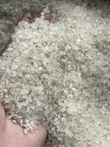 ข้าวญี่ปุ่นพรีเมียมเวียดนาม ข้าวขาวเมล็ดสั้น ผู้จัดจำหน่ายขายส่ง |   ตัวเลือกที่เสียหาย 5%, 25%, 100% |   บรรจุภัณฑ์แบรนด์ OEM - Product Image 1