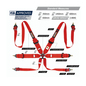 Ceinture de sécurité de course professionnelle FIA 8853 2016, harnais à 6 points, marque TBRACING SPORT, vente en gros pour voitures de sport automobile - Product Image 3