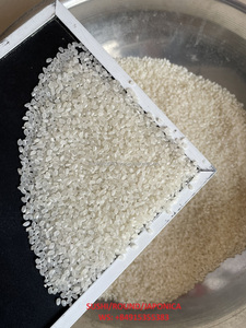 SUPERIOR JAPONICA SUSHI ARROCE AL POR MAYOR RIZ RISO, ARROZ DE GRANO CORTO/REDONDO, AROMÁTICO DE ALTA CALIDAD BARATO EXPORTACIÓN A GRANEL - Product Image 3