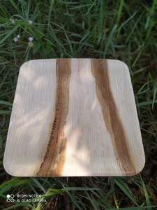[HOT SELLING] | Bulk 10 Inch Palm Leaf <b>Disposable</b> Compostable Biodegradable Plates For Food Catering <b>BBQ</b> Party Vietnam - Product Image 2
