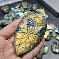 Lot de cabochons en labradorite naturelle sculptée, pierres précieuses sculptées pour la création, taille libre, vente en gros