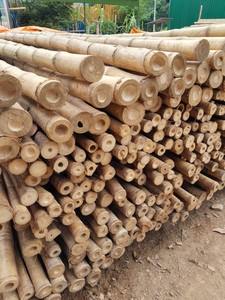 Bâtons en bambou naturel du Vietnam, écologiques, personnalisables, pour la construction de jardins, les clôtures et la décoration intérieure - Product Image 2
