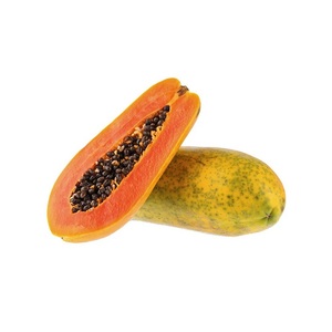 Papaya Fresca Orgánica de Alta Calidad al Mejor Precio, 10 kg, 100% Natural, 24 Meses de Vida Útil, Disponible Ahora! Entrega Rápida, No se lo Pierda - Product Image 3