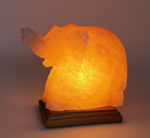Lámpara Nocturna de Sal del Himalaya Natural con Forma de Elefante, Hecha a Mano, Ecológica, Personalizada, Decoración de Sal Roca - Product Image 5