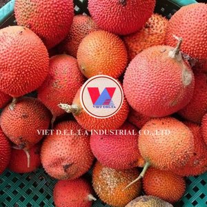100% PURE DRIED GAC FRUIT POWDER NATURAL RED FOOD COLORING AGENT FOR BAKING AND CULINARY - Product Image 6