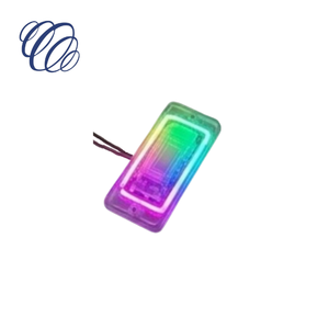 Luz de posición lateral decorativa RGB con prismas lineales de alta refracción integrados de doble color - Product Image 1