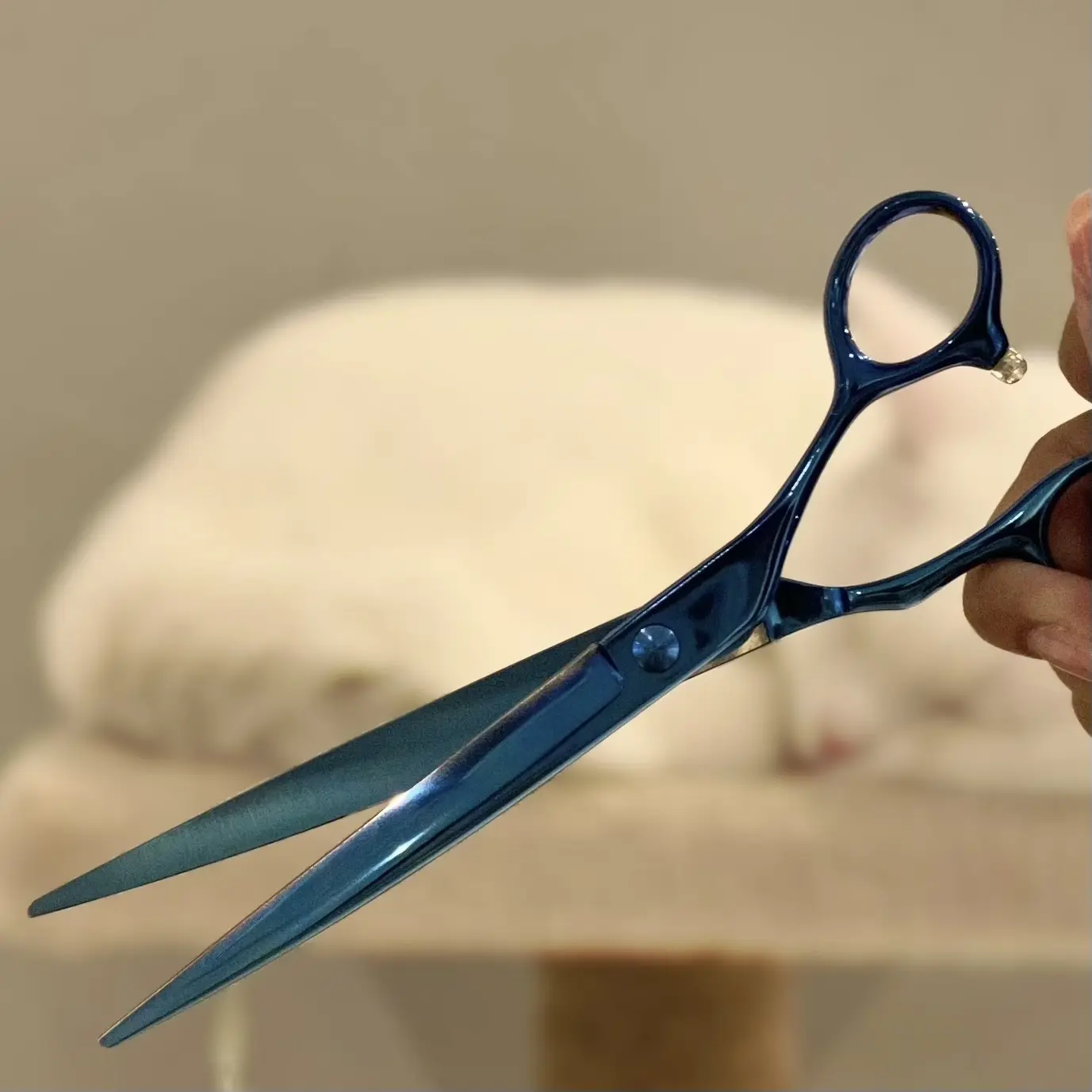 7 Inch Taiwan Curved Scissors Dog Grooming