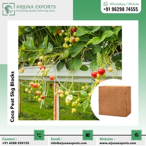 Superior Grade 5kg Coconut <b>Coir</b> Pith Organic Soil in <b>Block</b> Form - Product Image 6