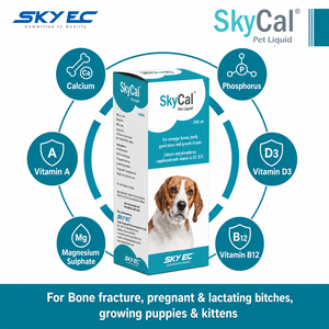 SkyCal Pet Liquid Calcium Phosphorus Vitamin D3 B12 Supplement for Dogs Bone Vision Support Lid 200ml All Breeds All Life Stages - Product Image 4