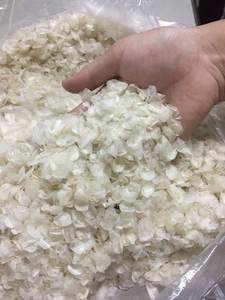 ÉCHELLE DE POISSON DE QUALITÉ SUPÉRIEURE AU MEILLEUR PRIX DU VIETNAM - Product Image 6