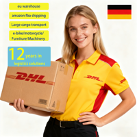 Agent maritime chinois DDP Europe : Service d'expédition de batteries, transit en 45-50 jours, assurance, entrepôt UE, logistique porte-à-porte