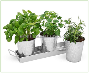Bac à herbes domestique avec rebords, conteneur de cuisine, pot de fleurs galvanisé avec trous de Drainage d'intérieur - Product Image 6