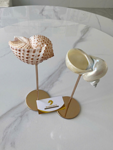 Verres à vin en coquillages naturels, verres à vin en coquillages marins chauds, coupes en coquille de conque, gobelets en coquille de mer pour la cuisine et les desserts, haute qualité - Product Image 3