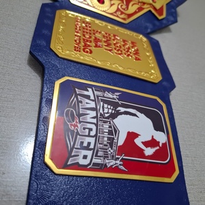 TBA Boxing Jiu-Jitsu Championship <b>Belt</b> Customized Names Logo Blue Gold <b>Red</b> Design 1.5M Length Brass Zinc Steel Material Proud 30 - Product Image 2