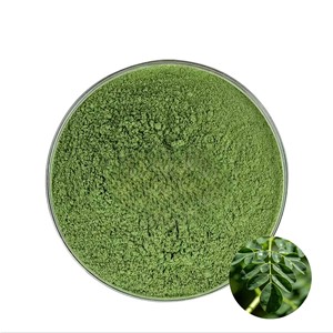 Polvo de Hoja de Moringa de Grado Alimenticio, Suministro de Fábrica, para Apoyar el Sistema Inmunológico, Desintoxicar el Cuerpo y Mejorar la Salud en General - Product Image 1