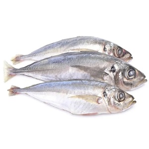 Pescado Congelado de Caballa con Sabor Natural a Mariscos, Carne Firme y Almacenamiento Conveniente para Servicio de Alimentos Regular - Product Image 5