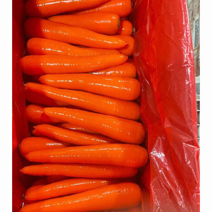 Zanahorias frescas al por mayor - Product Image 1