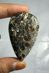 Cabujón de ágata Turritella en forma de corazón, mineral pulido para la fabricación de joyas - Product Image 5