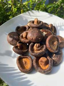 Chips de Champiñones Shiitake Marrones Secos Naturales de Vietnam, Fritos al Vacío, 12 Meses de Duración, para Aperitivos, Fiestas, Menús de Cafeterías - Product Image 3