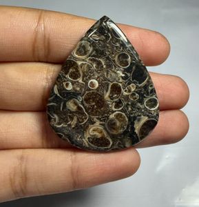 Cabochon en agate Turritella en forme de cœur, pierre précieuse minérale polie pour la fabrication de bijoux - Product Image 2