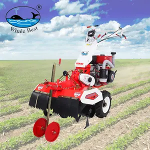 Trang trại nhỏ tiller Máy Nông Nghiệp cho tilling