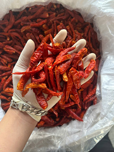 Piment rouge séché entier sans tige du Vietnam, sain et idéal pour les mélanges d'épices, vente en gros, emballage en vrac - Macy - Product Image 2