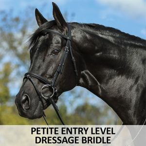 OEM English Bridle for Horses Black Leather Snaffle/Anatomic Black Bridle With <b>Flash</b> Padded & Web Reins from Top Supplier - Product Image 6